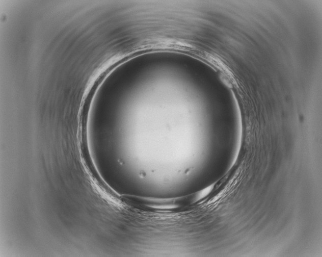 X0000059241136200510171424