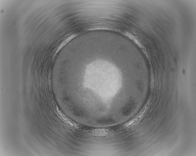 X0000059241137200510171424