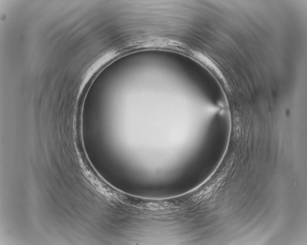 X0000059241138200510171424