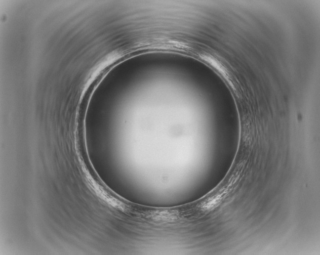 X0000059241139200510171424