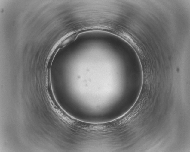 X0000059241140200510171424