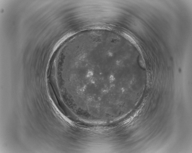 X0000059241141200510171424