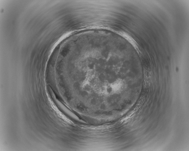 X0000059241142200510171424