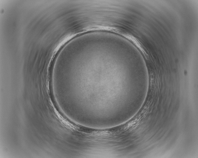 X0000059241143200510171424