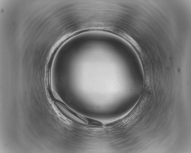 X0000059241144200510171424