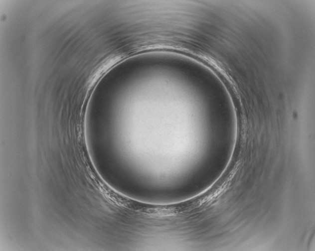 X0000059241145200510171424