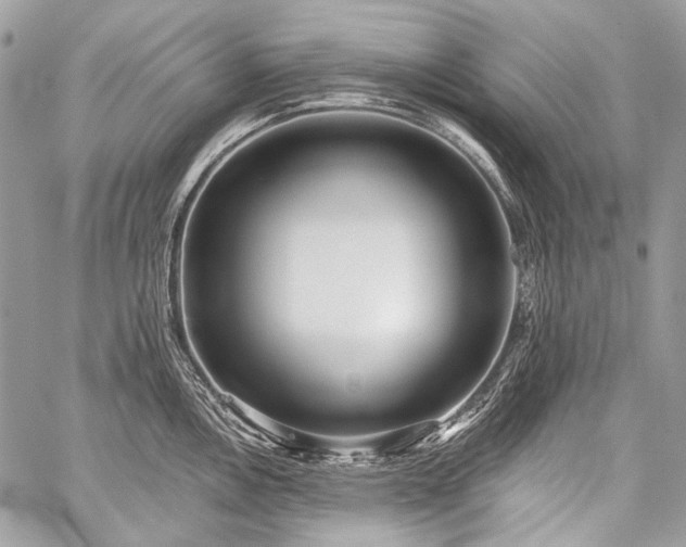 X0000059241146200510171424