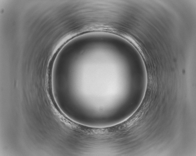 X0000059241147200510171424