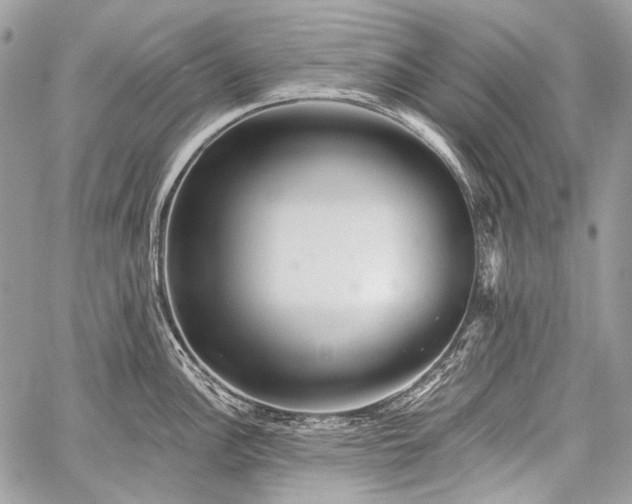 X0000059241148200510171424