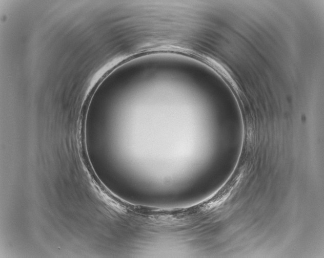 X0000059241149200510171424