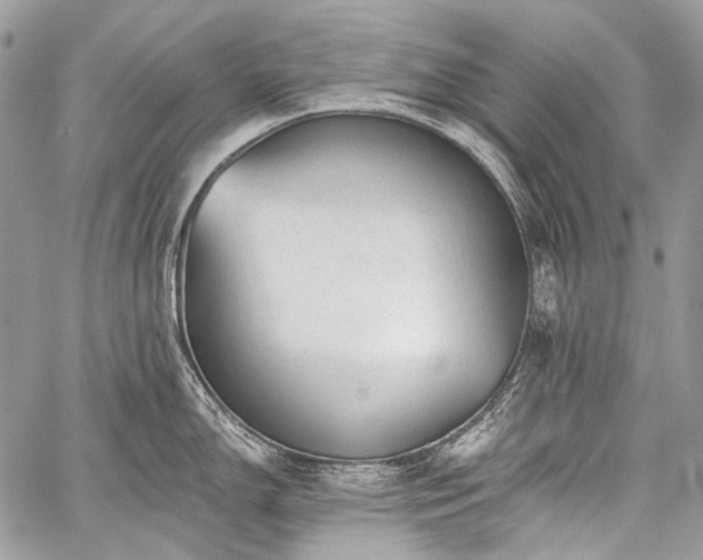 X0000059241150200510171424