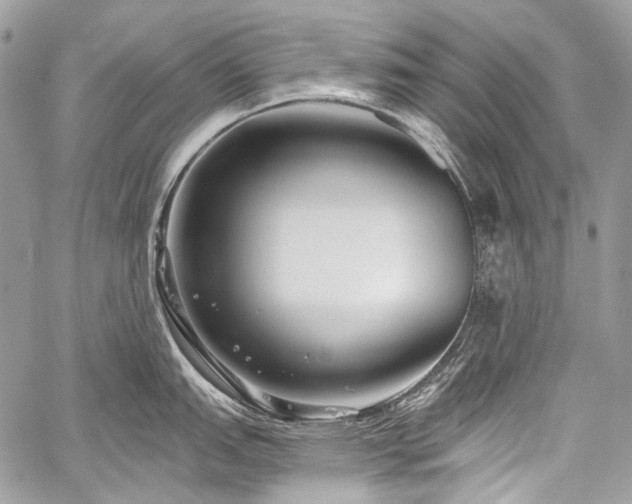 X0000059241151200510171424