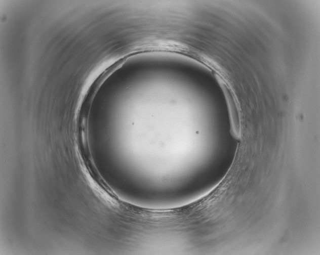 X0000059241152200510171424