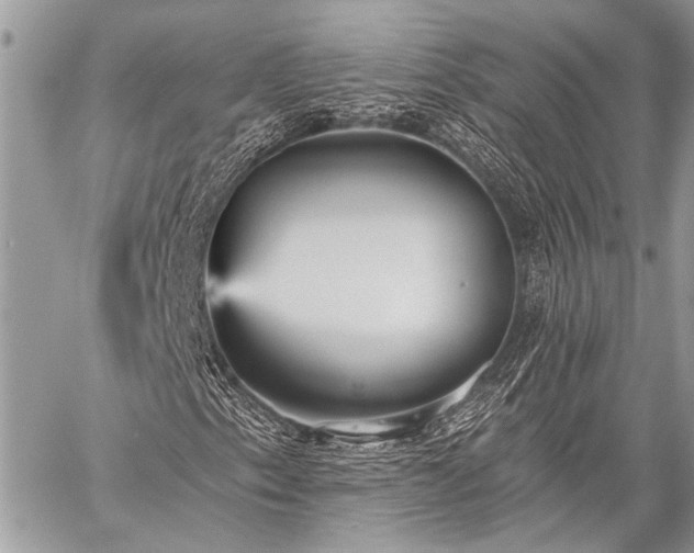 X0000059241153200510171424