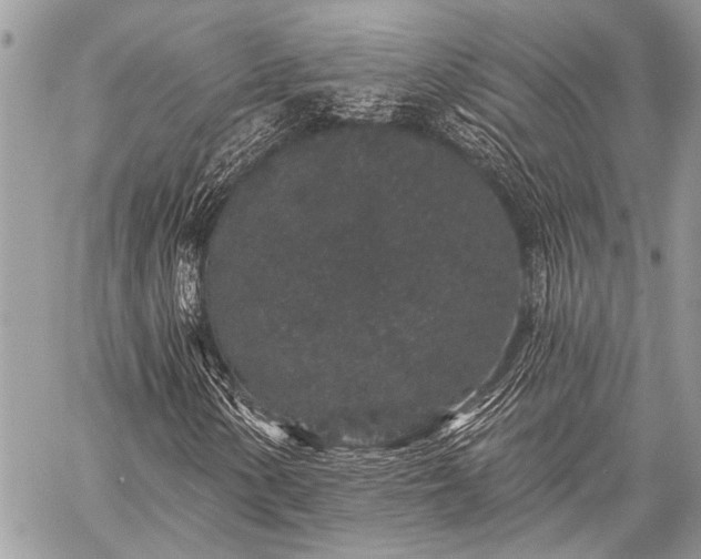 X0000059241154200510171424