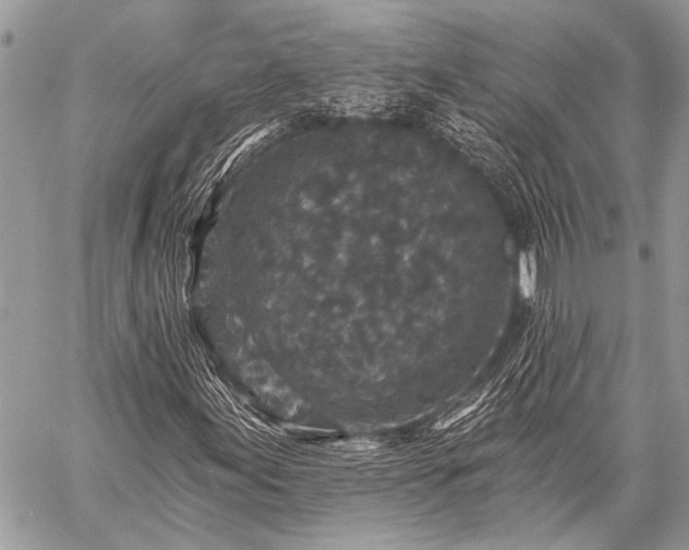 X0000059241155200510171424