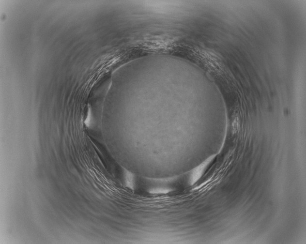 X0000059241156200510171424