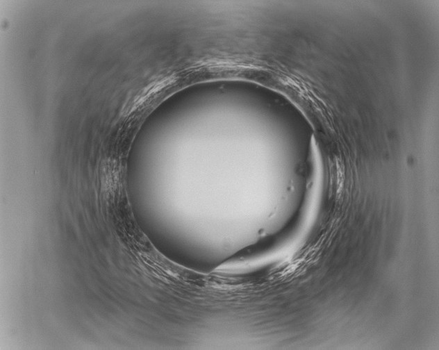 X0000059241157200510171424