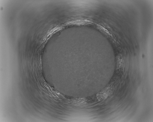 X0000059241158200510171424