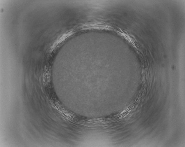 X0000059241159200510171424