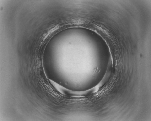 X0000059241160200510171424