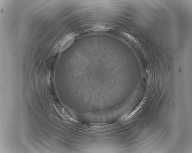 X0000059241161200510171424