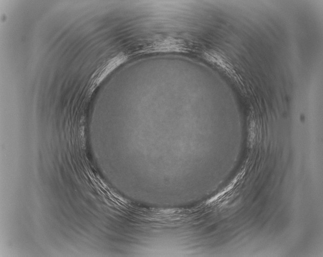 X0000059241162200510171424