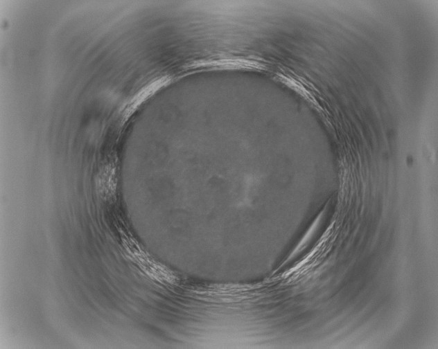 X0000059241163200510171424