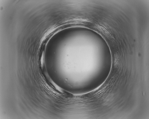 X0000059241164200510171423