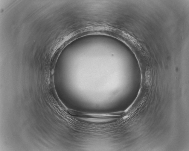 X0000059241165200510171423