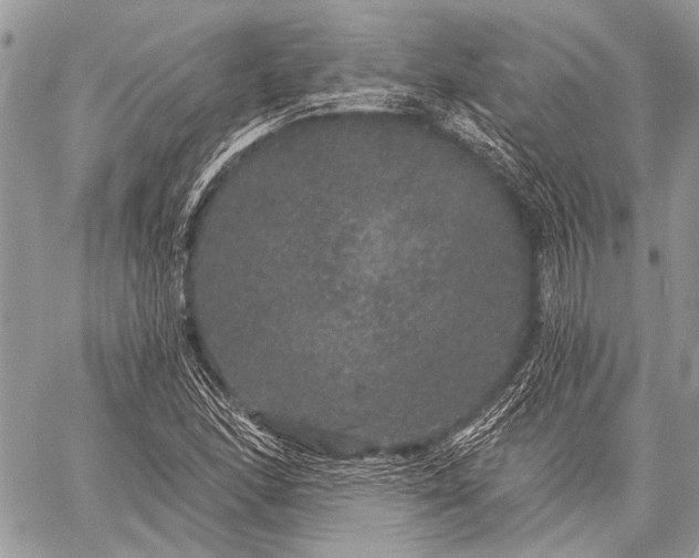 X0000059241166200510171423