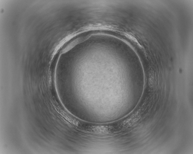 X0000059241167200510171423