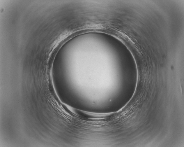 X0000059241168200510171423