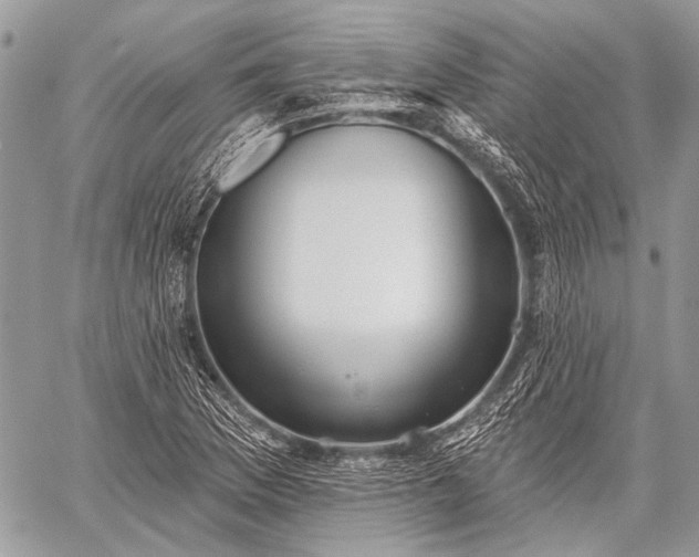 X0000059241169200510171423