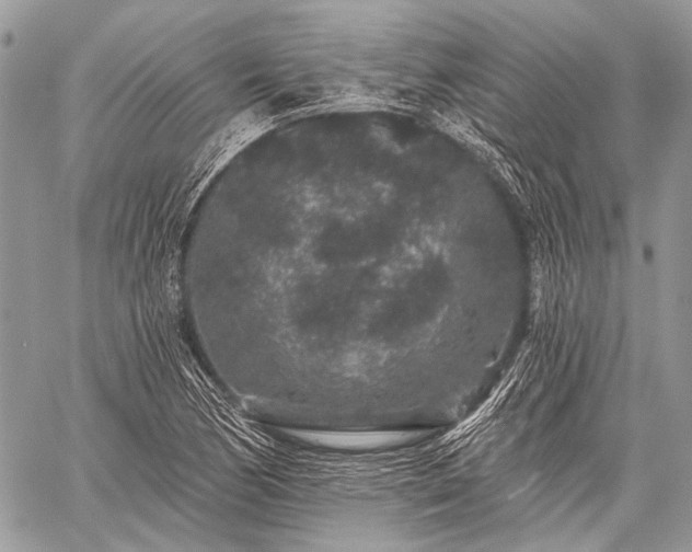 X0000059241170200510171423