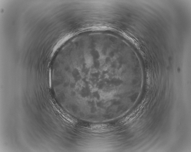 X0000059241171200510171423