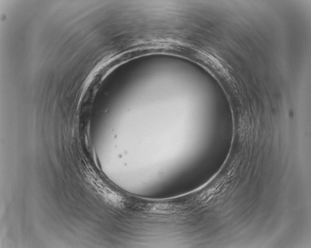 X0000059241172200510171423