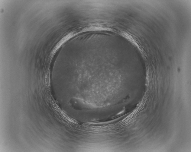 X0000059241173200510171423