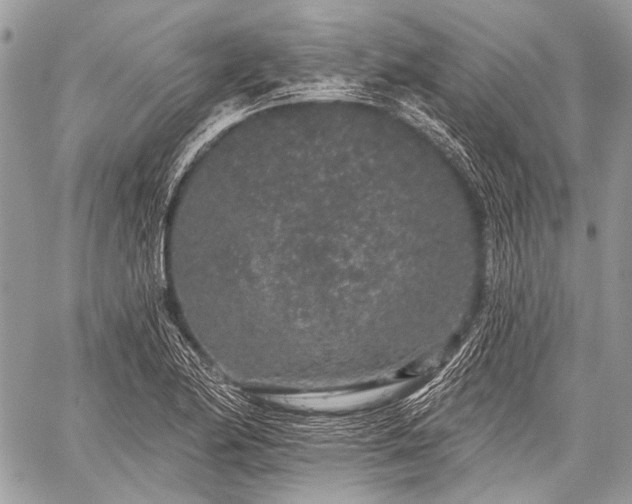 X0000059241174200510171423