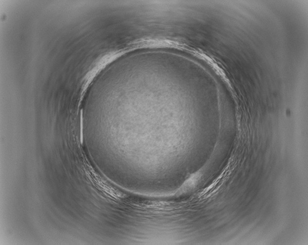 X0000059241175200510171423