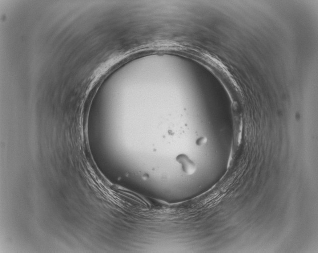 X0000059241176200510171423