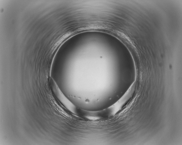 X0000059241177200510171423