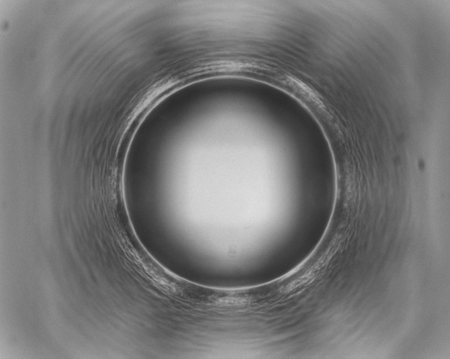 X0000059241178200510171423