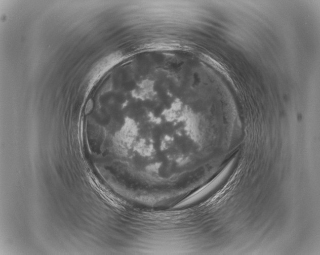 X0000059241179200510171423