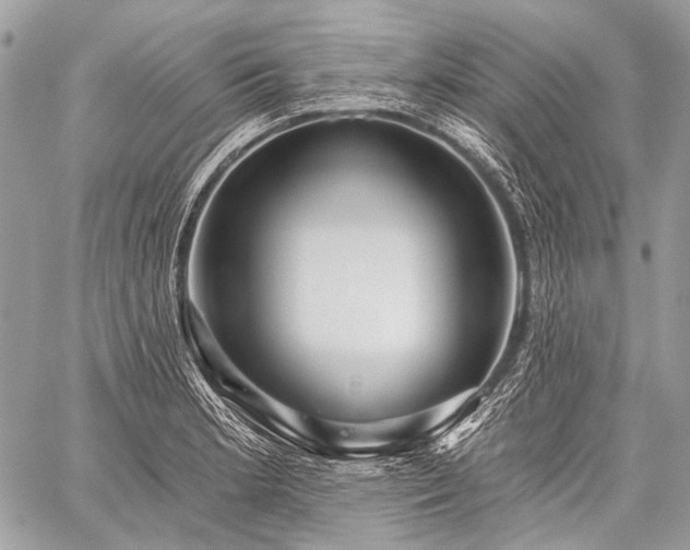 X0000059241181200510171423