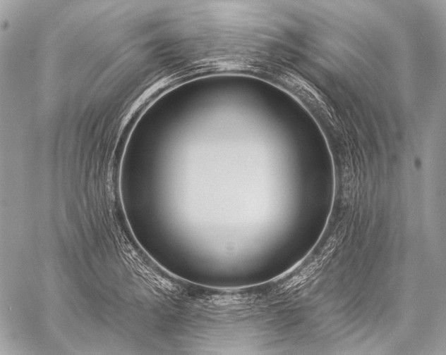 X0000059241182200510171423