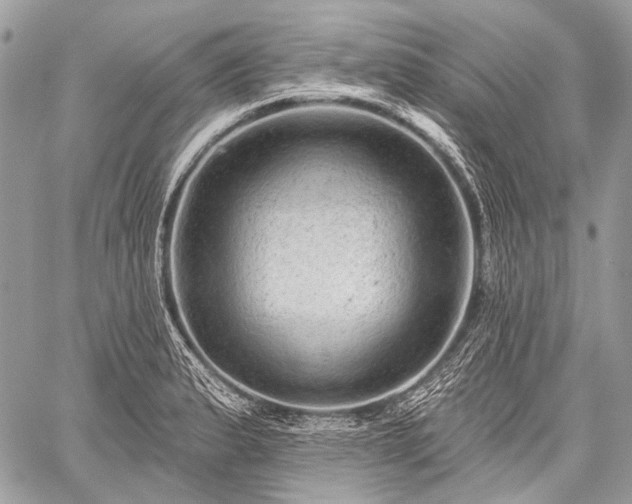 X0000059241183200510171423