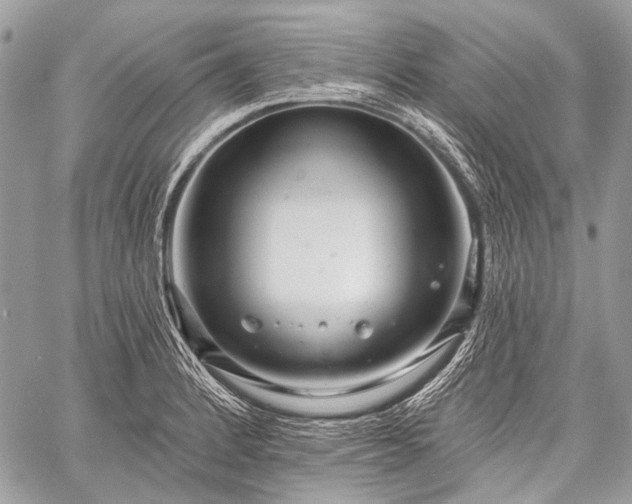 X0000059241184200510171423