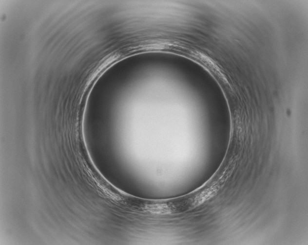 X0000059241186200510171423