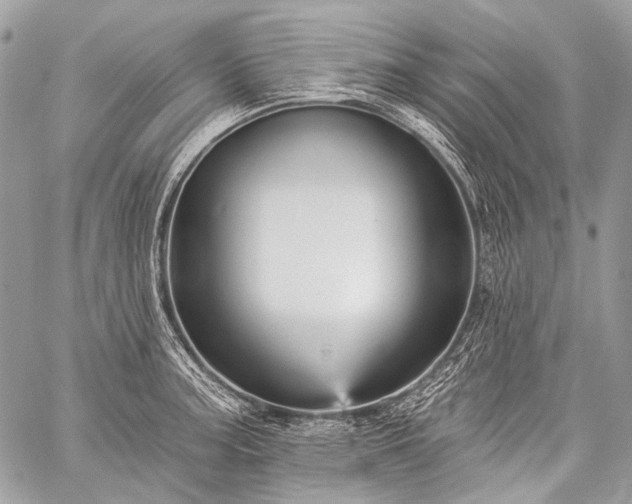 X0000059241187200510171423